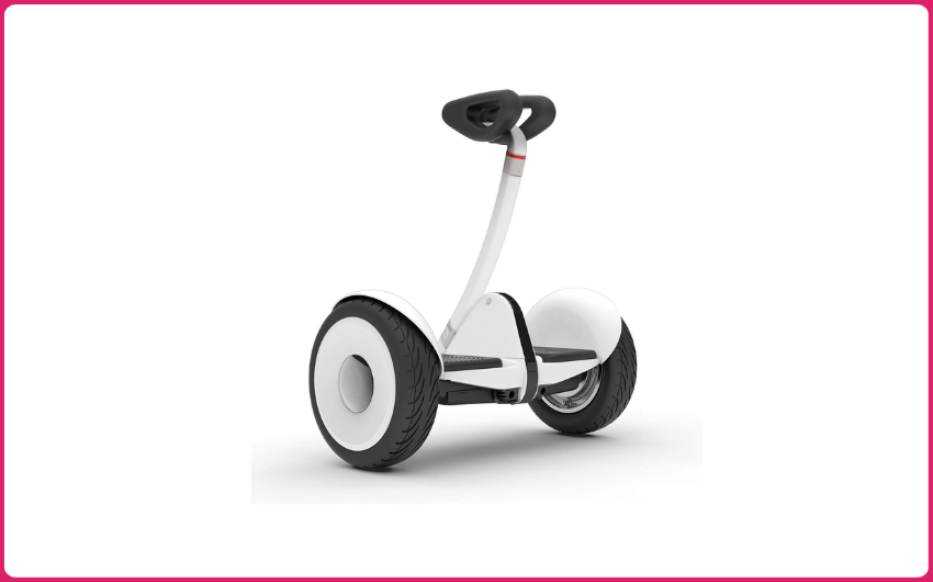 SEGWAY Ninebot S Smart Electric Scooter